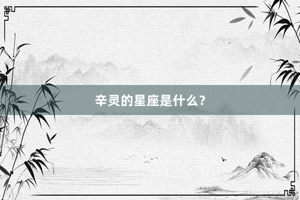 辛灵的星座是什么？