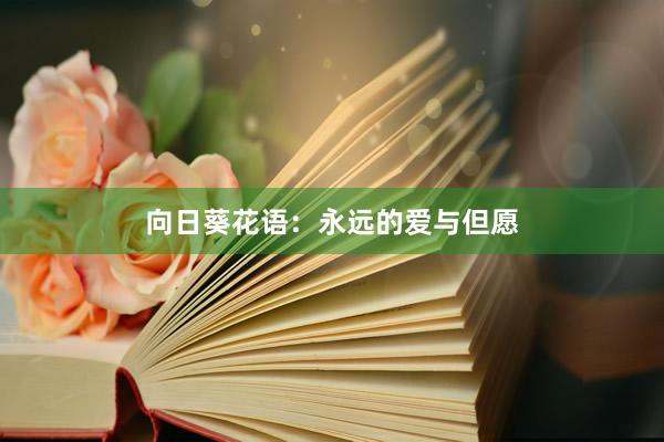 向日葵花语：永远的爱与但愿