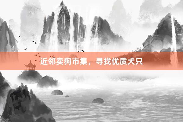 近邻卖狗市集,寻找优质犬只
