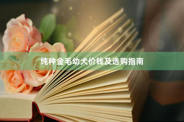 纯种金毛幼犬价钱及选购指南