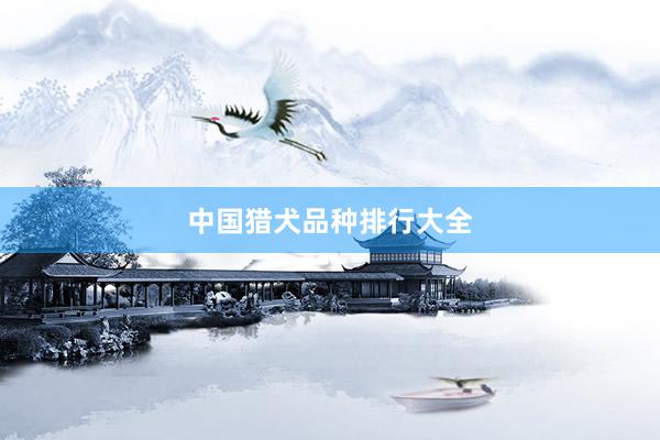 中国猎犬品种排行大全