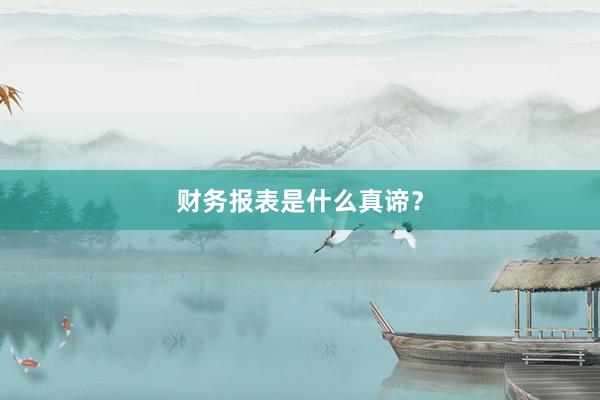 财务报表是什么真谛？