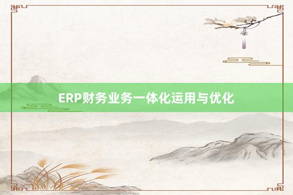 ERP财务业务一体化运用与优化